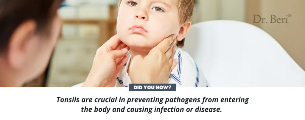 Tonsils fact